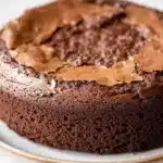 Chocolate cake no icing - the image is of a round chocolate cake on a white plate. the cake appears to be freshly baked and has a smooth texture. the top of the cake is covered in a generous layer of chocolate frosting, which is spread evenly across the cake. the frosting is a rich, dark brown color and looks smooth and shiny. the plate is white with a gold rim. the background is blurred, making the cake the focal point of the image.