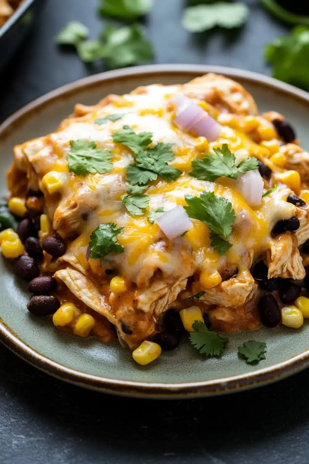 High protein chicken enchilada skillet - the image shows a plate of enchiladas with black beans, corn, and red onions. the enchillas are covered in melted cheese and garnished with fresh cilantro. the plate is on a dark grey countertop and there are a few sprigs of cilantro scattered around the plate. in the background, there is a baking dish with more ingredients. the overall color scheme of the image is warm and inviting.