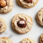 Sugar cookie kisses - the image shows a group of freshly baked peanut butter cookies on a white marble surface. the cookies are round and golden brown in color, with a crumbly texture. they are arranged in a scattered manner, with some overlapping each other. in the center of each cookie, there is a single peanut butter cookie with a swirl of chocolate on top. the chocolate is a rich, dark brown color and appears to be dripping down the sides of the cookies. the background is blurred, making the cookies the focal point of the image.