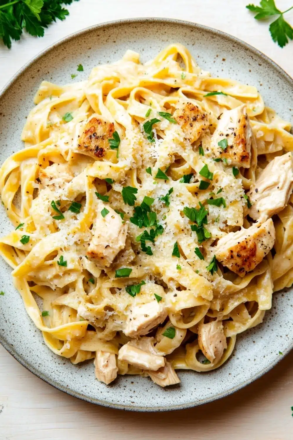 One pot chicken fettuccine - the image is a close-up of a plate of pasta dish. the pasta appears to be fettuccine alfredo, with chunks of chicken and parmesan cheese on top. the dish is garnished with fresh parsley leaves. the plate is round and has a light blue rim. the background is a white wooden table.