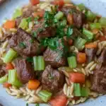 Slow cooker beef orzo - the image is a close-up of a plate of pasta dish. the dish appears to be a beef stew with chunks of beef, carrots, celery, and onions. the beef is cooked in a brown sauce and is garnished with fresh parsley. the pasta is long and thin, and the vegetables are bright orange and red. the plate is white with a blue rim and is sitting on a wooden table.
